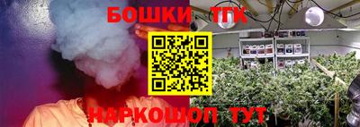 шишки Бердск